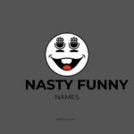 nasty funny names​