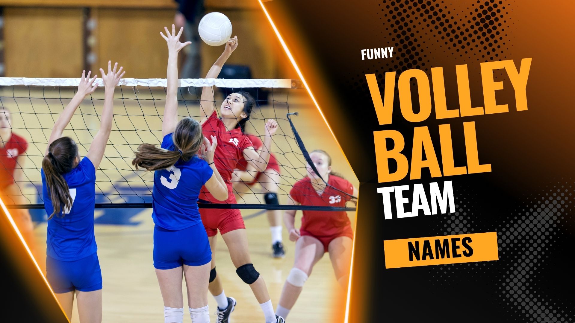 You are currently viewing 230 Funny Volleyball Team Names To Make You LOL
